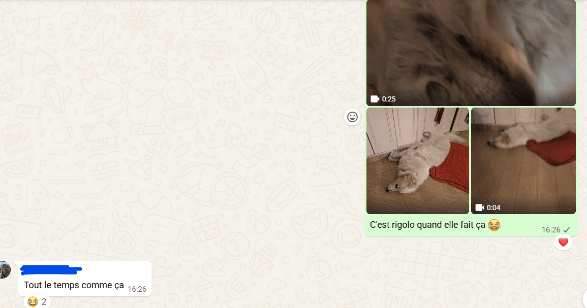 patou en pension samuse
