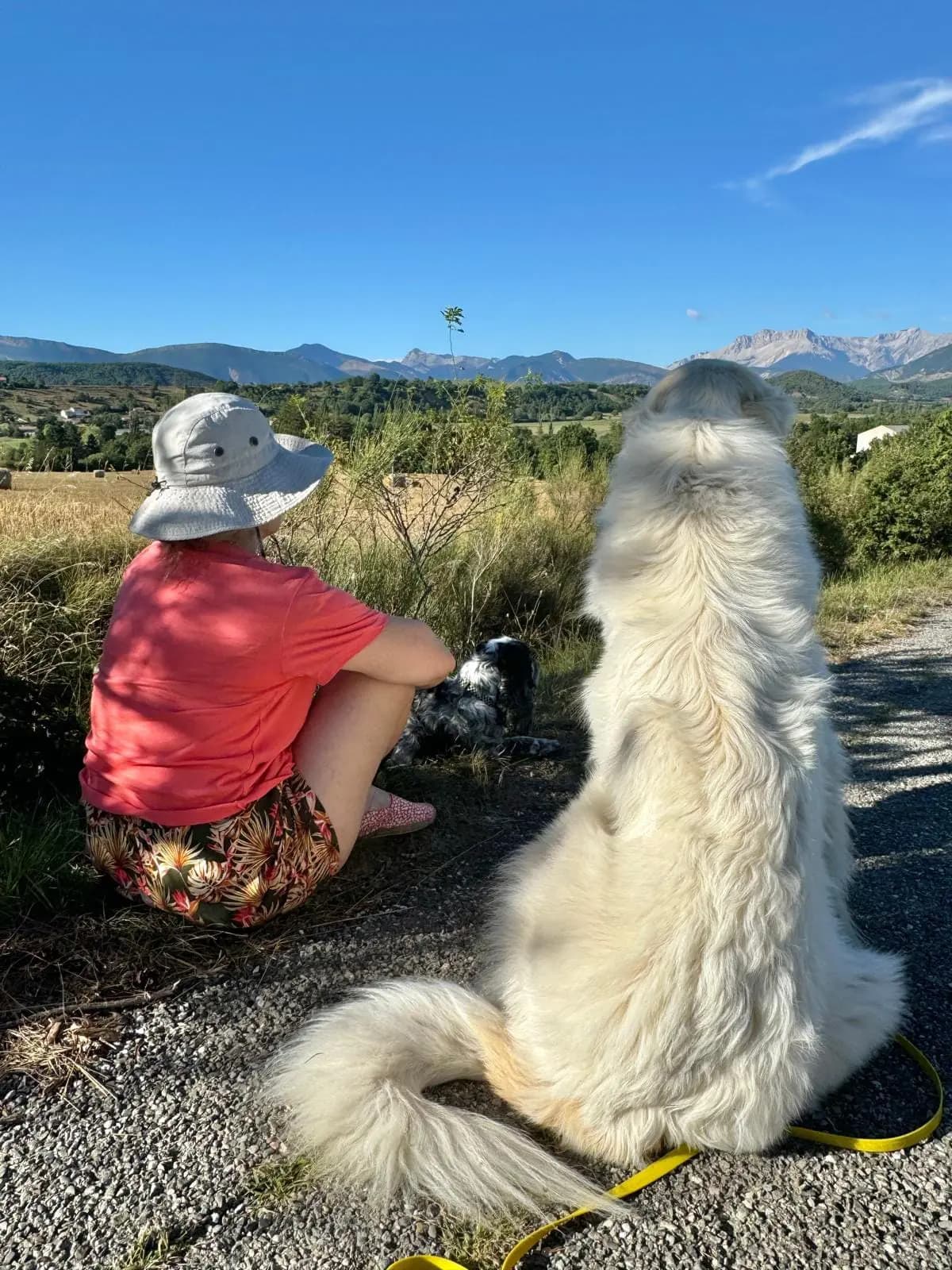 binome maitre chien heureux