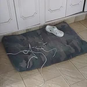 chien detruit quand seul