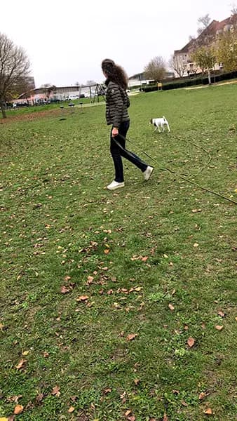 educateur canin villepreux trianon rappel jack russel